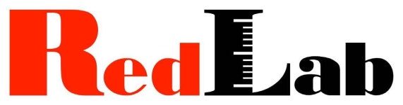 [인터뷰] 역전의 MMORPG 전문가들이 뭉친 스타트업 레드랩게임즈