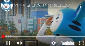 “양주 먹고 코알라”…양주시 B급 감성 홍보영상 올렸다 삭제