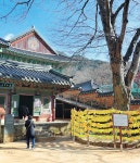능선에 잠든 가야왕국의 신비… 열두줄 우륵 선율에 담겨있을까