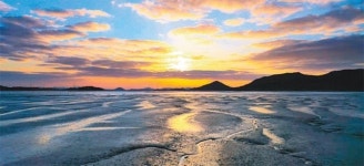 전남도, 체험-관광 접목 ‘갯벌습지정원’ 만들어 미래가치 높인다