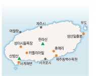 이시돌목장 수놓은 ‘명품의 추억’… 되살아난 제주 니트의 전설