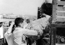 17년 만에 부활한 제주 이시돌목장의 명품 니트 ‘한림수직’[전승훈 기자의 아트로드]