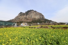 17년 만에 부활한 제주 이시돌목장의 명품 니트 ‘한림수직’[전승훈 기자의 아트로드]