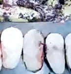 ‘김치명인’ 업체서 썩은 배추로 김치 만들어 파문