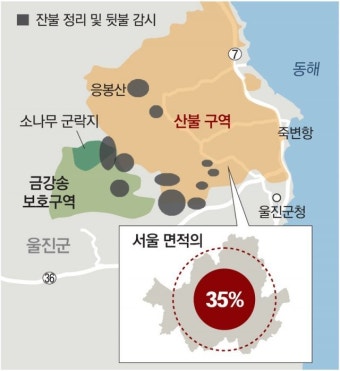 울진-삼척 산불, 역대 최장 213시간만에 진화… 서울면적 35% 피해