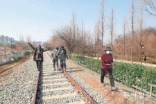 옛 철길 지나자 올레길과 숲길… “사색하며 구로 한바퀴”