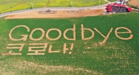 25개월만의 ‘자유’… “재료주문 늘리고 직원 채용” 활기찾은 식당