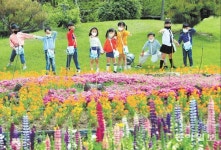 3년만의 나비축제… “다음 주부턴 마스크 없이 구경할 수 있어요”