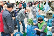 정선 곤드레 산나물축제 성황