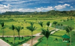 야자나무숲 끼고 라운딩 해볼까… 정어리떼 친구삼아 바닷속 탐험할까[전승훈 기자의 아트로드]