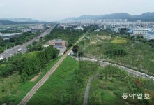 가로수는 허파, 바람길은 혈관… 도시에 생명 불어넣는 숲