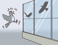 새들이 없는 세상[왕은철의 스토리와 치유]〈246〉