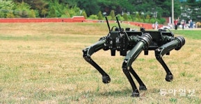 “용산공원, 美 전원마을 같은 풍경 인상적”