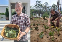 “잊히고 싶다”던 文, 인스타 활동 재개…하루에만 4건