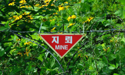 철원서 대전차 지뢰 폭발 추정 사고…1명 사망