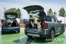 MINI코리아, 반려견과 함께하는 ‘퍼피랜드’ 운영