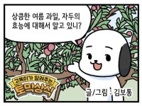 [신문과 놀자!/고독이의 토막상식]여름 과일, 자두