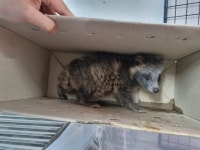 도시생활 얼마나 힘겨웠니…너희, 서울을 뜨지 않았구나