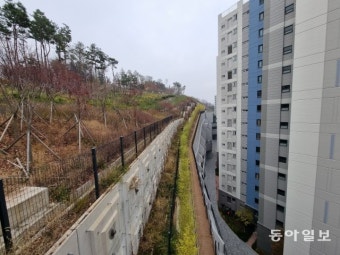 [단독]성남 백현동사업 인허가 관여 대학교수, 김인섭 구속된 공사비리 사건에도 연루