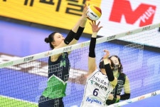 [단독]KOVO 포지션 이름 아웃사이드 히터, 아포짓, 미들 블로커로 바꾼다 [발리볼 비키니]