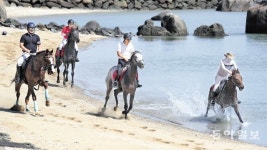 가을바람 맞으며 해변 승마