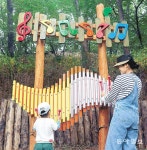 [고양이 눈]숲속 음악회