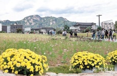 ‘송현동 부지’ 100여년 만에 시민 품으로
