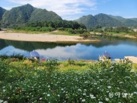 영월에서 한반도 상공을 날다 [전승훈의 아트로드]
