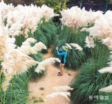 바위에 스며든 천년 전 ‘K미소’… 백제인의 깔깔대는 웃음소리 들리는듯