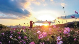 천천히 걸어야 보인다, 대구의 어제와 오늘을 머금은 ‘길’