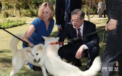 文측 ‘풍산개 반납’ 발표 하루만에 반환… 대통령기록관 “검진후 위탁기관 정할것”