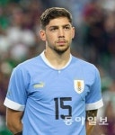 ‘막강 화력’ 우루과이-‘EPL 소속만 10명’ 포르투갈…H조 한국, 쉬운 상대 없다