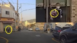 교차로서 車 마주친 어린이의 ‘손짓’…“여러분의 어린이도 이렇게”(영상)