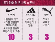 ‘나이키 유니폼’ 16강 중 10팀 기세등등… 아디다스, 급히 독일 유니폼 반값 판매