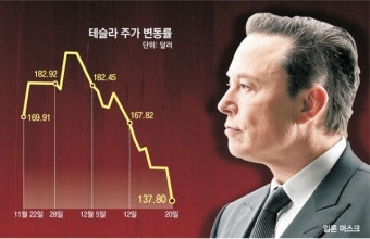 ‘머스크 리스크’에… 테슬라 주가 8% 폭락, 점유율 뚝