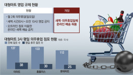대형마트 새벽-휴업일 배송 가능해진다