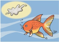 단세포도,금붕어도 아는 것[서광원의 자연과 삶]〈65〉