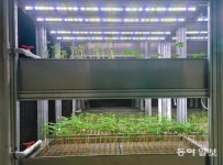 “우주서 채소 수경재배-인공육 배양”… 푸드테크, 꿈을 현실로