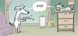 “까치까치 명당은♬~ 우리 명당이래요♪”[안영배의 웰빙풍수]