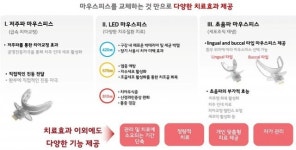[혁신스타트업 in 홍릉] 웰스메디텍 “세계 첫 LED 치주질환 치료기 세계로”