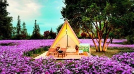 순천만국제정원박람회 준비 순항… 꽃-나무 식재만 남았다