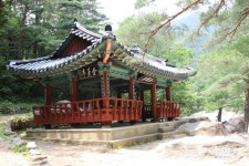 봄날에 걷는 ‘한국의 산토리니’ 골목… 밤바다엔 도깨비 불빛이 흐르고[전승훈의 아트로드]