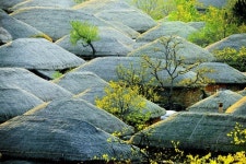 시간여행자가 되어 마을 한바퀴 돌아볼까