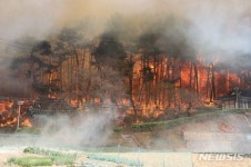 강릉 산불, 강풍 타고 주택 덮쳐…동해안 확산(2보)