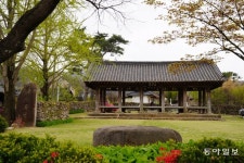 한민족 문화콘텐츠의 보고 ‘삼국유사’ 품어낸 비슬산, 분홍빛으로 물들다[전승훈의 아트로드]