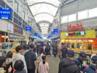산불피해 강릉에 관광객들 다시 찾아와 ‘활기’