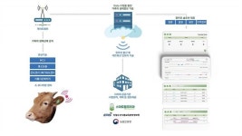 [농업이 IT(잇)다] 팜프로 “소 질병·출산 관리해 스마트 축산 선도국으로”