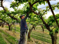 분기별 까다로운 검사 거쳐 우수농산물 인증