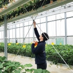 [스타트업-ing] 퍼밋 월드 퍼밋 센터, 농산업·스마트팜 상생 터전