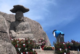생물 수천 종, 문화재 수십 점 품은 名山… 팔공산, 국립공원 승격